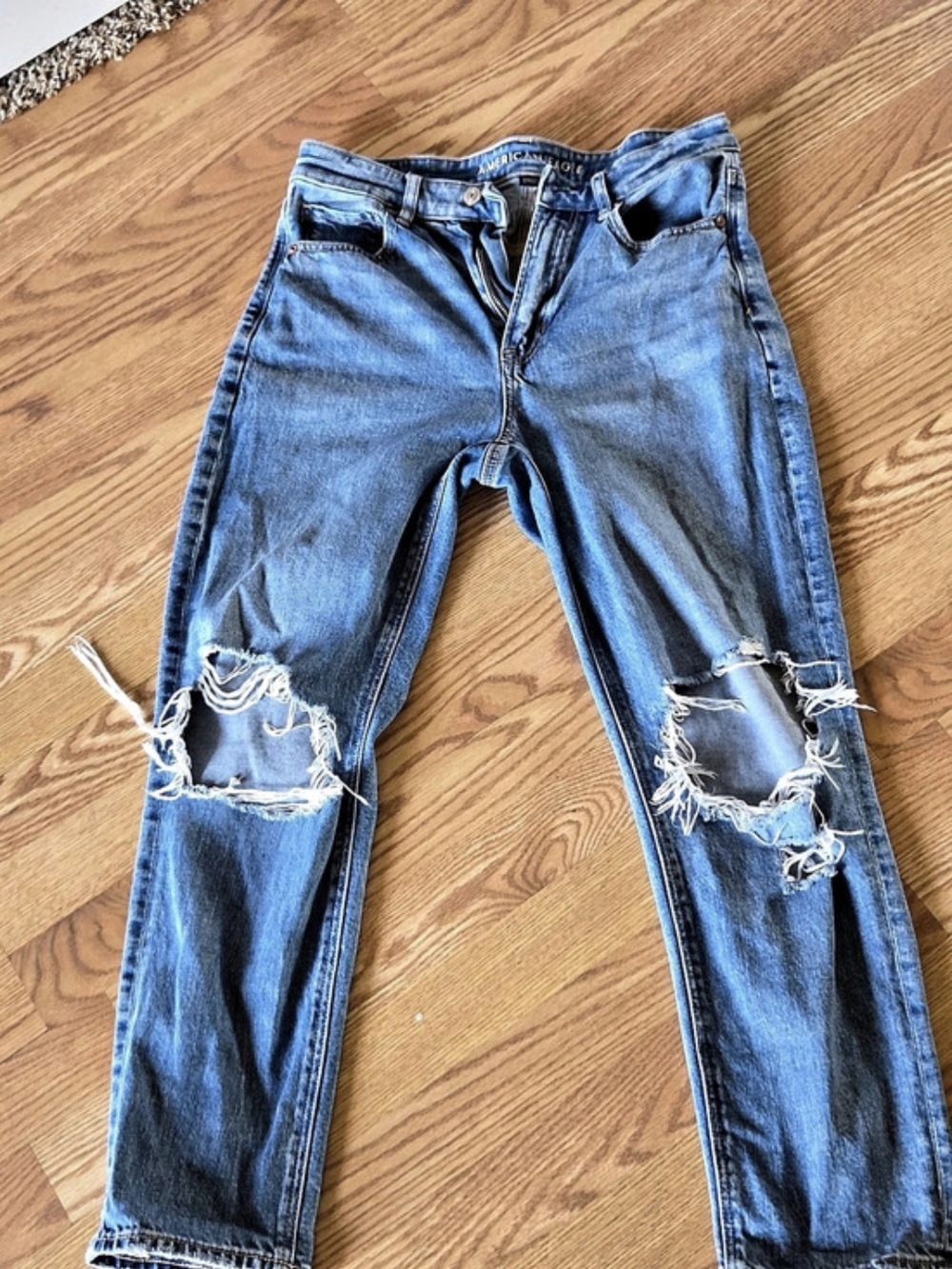 American Eagle Mom Jean Distressed Jeans in Blue Size 6 Y2K Inspired Streetwear
